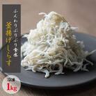 茹でたて釜揚げしらす　1kg箱入り【冷凍】【mar112】