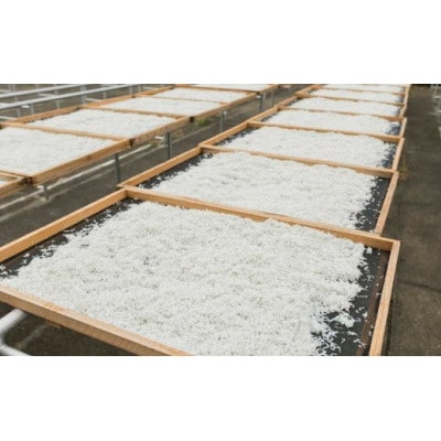 茹でたて釜揚げしらす　1kg箱入り【冷凍】【mar112】