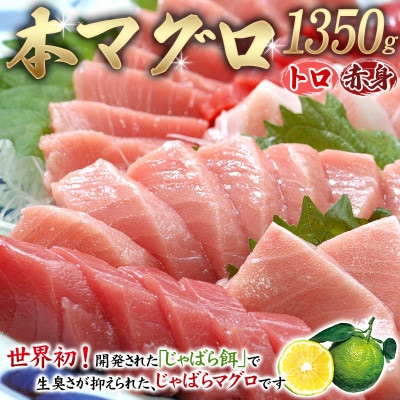 本マグロ(養殖)トロ&赤身セット 1350g【nks111】