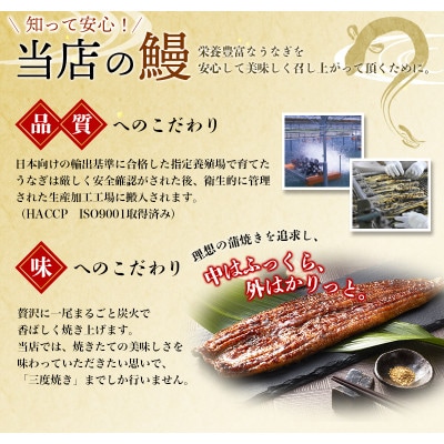 ビッグサイズ うなぎ蒲焼 4尾 計約860g～960g (タレ・山椒付き)【nks702B】