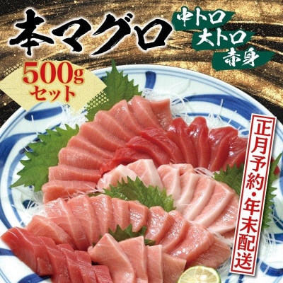 【年末発送・正月予約】本マグロ(養殖)トロ&赤身セット 500g【nks110D-sg】