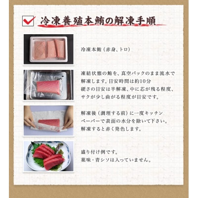 【年末発送・正月予約】本マグロ(養殖)トロ&赤身セット 1350g【nks111-sg】