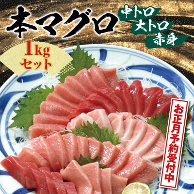 【年末発送・正月予約】本マグロ(養殖)トロ&赤身セット 1kg【nks105B-sg】
