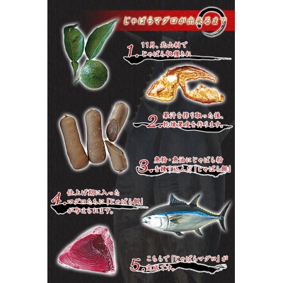 【年末発送・正月予約】本マグロ(養殖)トロ&赤身セット 1kg【nks105B-sg】