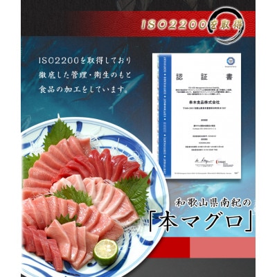 【年末発送・正月予約】本マグロ(養殖)トロ&赤身セット 1kg【nks105B-sg】