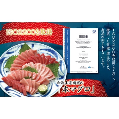 【2026年 年末発送・正月予約】本マグロ(養殖)トロ&赤身セット 1kg【nks105B-sg】