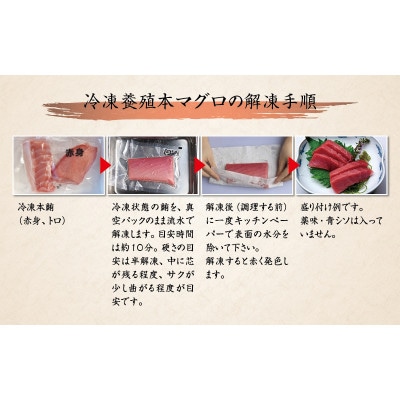 【2026年 年末発送・正月予約】本マグロ(養殖)トロ&赤身セット 1350g【nks111-sg】