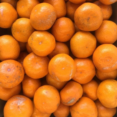 訳あり 和歌山有田みかん 10kg S～Lサイズおまかせ【tec830A】