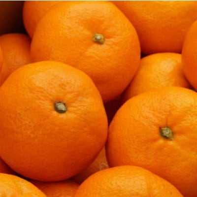 [秀品]和歌山有田みかん 5kg (SサイズまたはMサイズ)【tec833B】