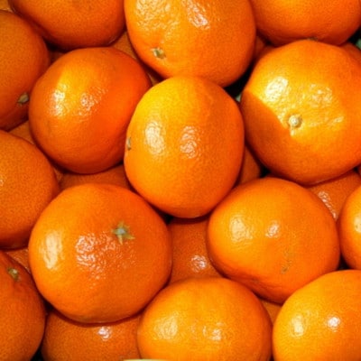 [秀品]  和歌山有田みかん 約5kg(S～Lサイズおまかせ)【tec970A】