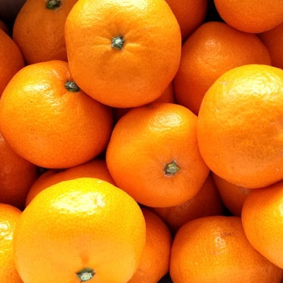 [秀品]和歌山有田みかん約5kg(S～Lサイズ混合)【tecj1025A】