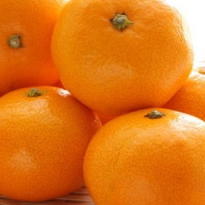 【産直・秀品】和歌山下津みかん 約5kg (SサイズまたはMサイズのいずれか) 【tec870B】