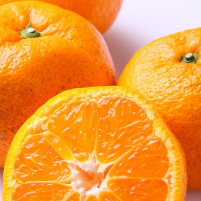 【訳あり】和歌山下津みかん 約10kg ご家庭用 サイズ混合【tec885A】