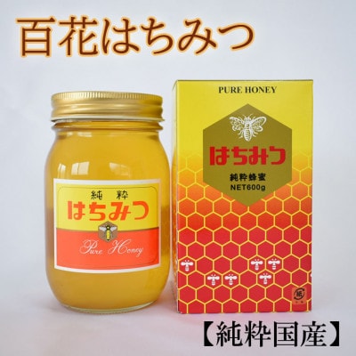 【純粋国産】和歌山県産 百花はちみつ 600g【tec507A】