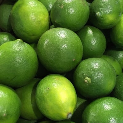 【産直】和歌山産 グリーンレモン 約3kg(サイズ混合)【tec506A】