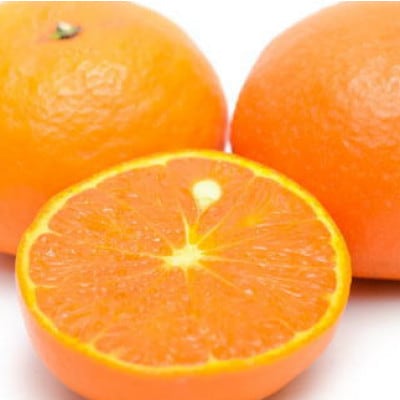 【春みかん】和歌山有田産 カラマンダリン 約5kg サイズおまかせ【tecj1022】