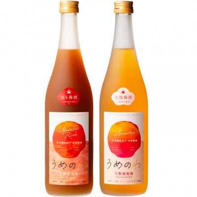 【紀州完熟南高梅使用】濃厚「ねり梅酒」と芳醇「梅酒」 各720mlの飲み比べ【tecj1003A】