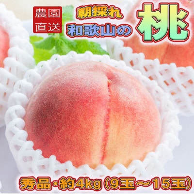 【農園直送】朝採れの和歌山の桃 約4kg 秀品【2026年度発送分】【tec911B】