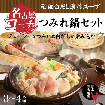  元祖白だし濃厚スープ　名古屋コーチンつみれ鍋セット3～4人前 きしめん付 H001-071