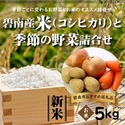 碧南産米と季節の野菜詰合せ H025-007