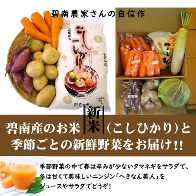 碧南産米と季節の野菜詰合せ H025-007