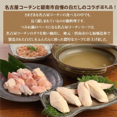 元祖白だし濃厚スープ　名古屋コーチン鶏鍋セット(3～4人前)　H001-069