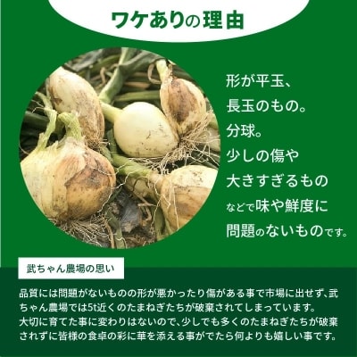 【食品ロス削減】笑顔で笑顔を作る武ちゃん農場の新玉ねぎ“玉笑ちゃん” 9個 H095-030