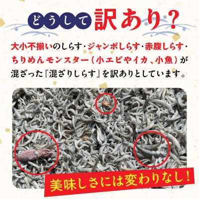 訳あり モリモリ2kg!バラエティ豊富な三河しらす　H018-040
