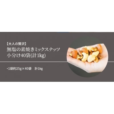 無塩の素焼きミックスナッツ　小分け40袋(計1kg)　H059-145