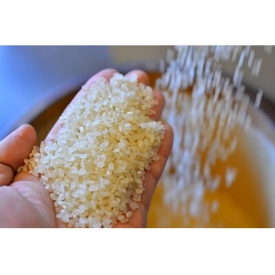 新米受付【お米マイスター】究極　喜重ーKIJYUー　定期便(5kg×12回)　H056-098
