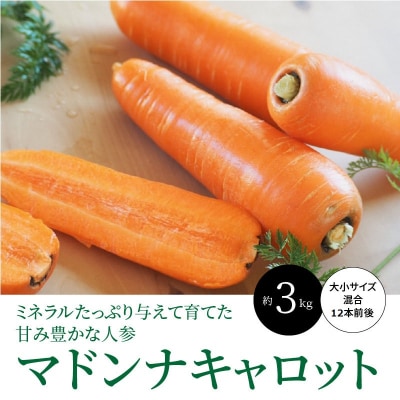 こどもも食べられる甘み!ジュースにも!マドンナキャロット 3kg 事前受付　H105-051