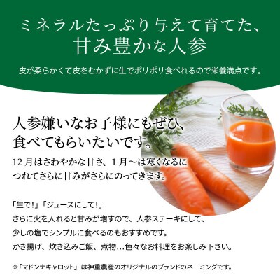 こどもも食べられる甘み!ジュースにも!マドンナキャロット 3kg 事前受付　H105-051