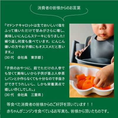 こどもも食べられる甘み!ジュースにも!マドンナキャロット 3kg 事前受付　H105-051