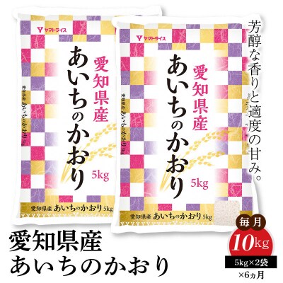 愛知県産あいちのかおり 10kg ※6回定期便　H074-659