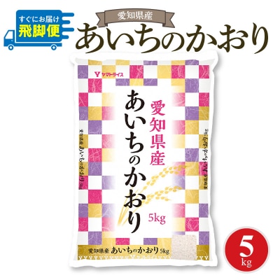 愛知県産あいちのかおり 5kg 米 白米 国産 精米 H074-641