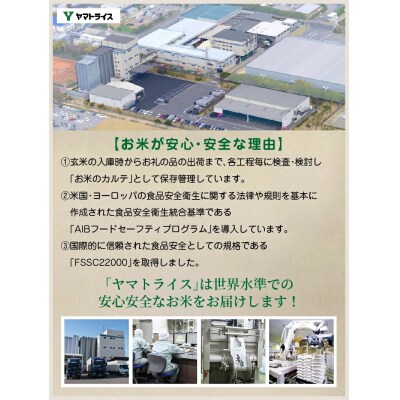 愛知県産あいちのかおり 5kg 米 白米 国産 精米 H074-641