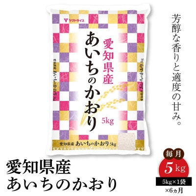 愛知県産あいちのかおり 5kg ※6回定期便　H074-652