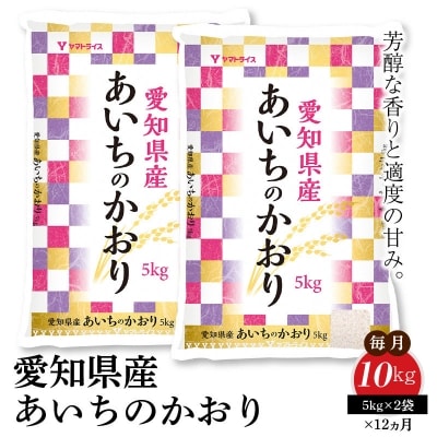愛知県産あいちのかおり 10kg ※12回定期便　H074-660