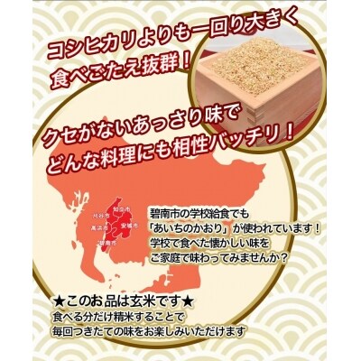 愛知県産　あいちのかおり玄米10kg　H017-096