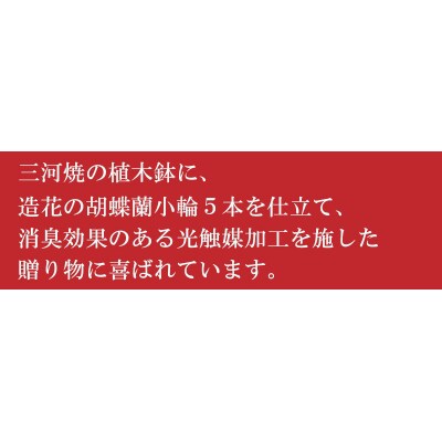 綺麗で丈夫な三河陶器で贈る 光触媒胡蝶蘭大輪3本立(白色の陶器×白桃色の花)　H100-077