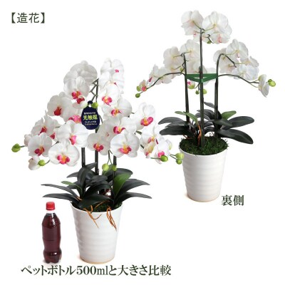 綺麗で丈夫な三河陶器で贈る 光触媒胡蝶蘭大輪3本立(白色の陶器×白桃色の花)　H100-077