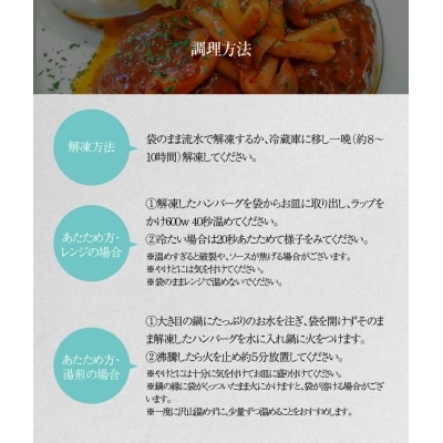 碧南DELIシリーズお肉惣菜無添加デミグラスハンバーグ約800g(200g×4個)H080-036