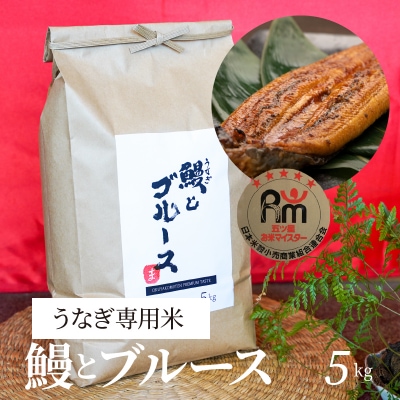 うなぎ専用米「鰻とブルース」 5kg　五ツ星お米マイスター作　H056-116