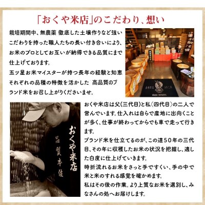 高級肉専用米「お肉とブルース」 5kg　五ツ星お米マイスター作　H056-115