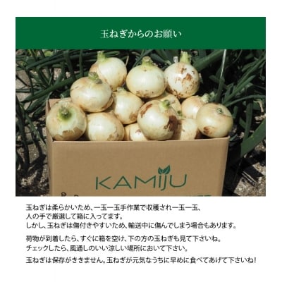 【2026年発送】新玉ねぎ　生がおいしい　神重農産のブランド玉ねぎ「旬玉」5kg　H105-148