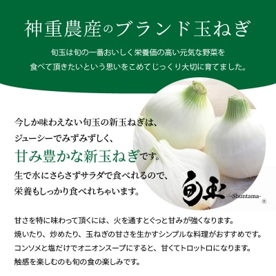 【2026年発送】新玉ねぎ　生がおいしい　神重農産のブランド玉ねぎ「旬玉」10kg　H105-149