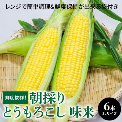 朝採り とうもろこし 味来 6本(3Lサイズ) 簡単調理&鮮度保持が出来る袋付　H132-030