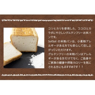 グルテンフリー 米粉食パン 窯出しコシヒカリ 2本　H083-017