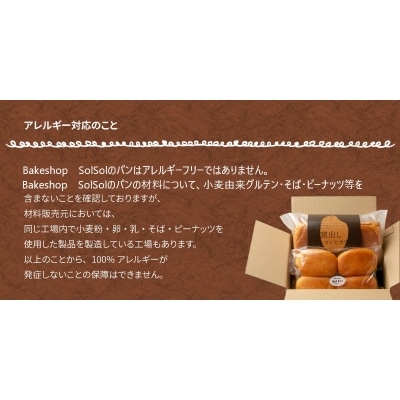 グルテンフリー 米粉食パン 窯出しコシヒカリ 2本　H083-017