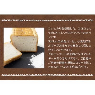 グルテンフリー 米粉食パン 窯出しコシヒカリ 3本　H083-018